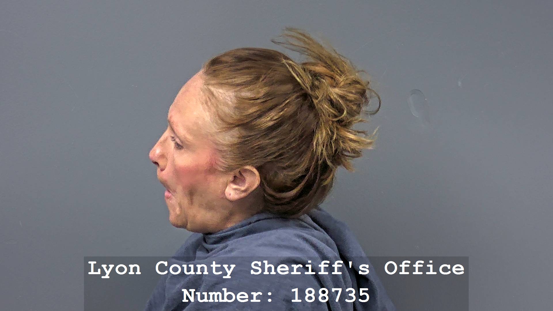 GINGER BLADES Profile Mugshot
