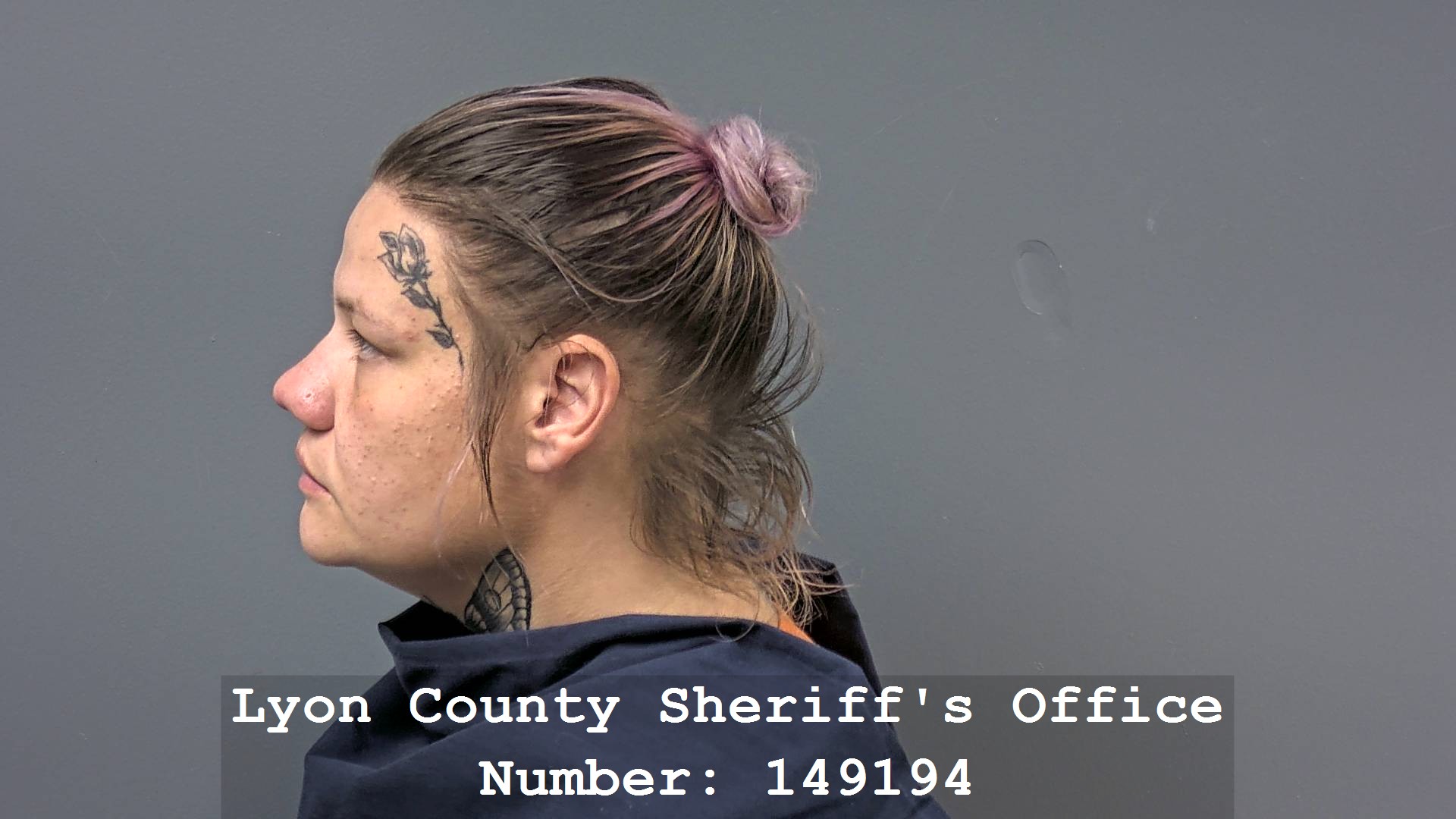 RONNI BREWER Profile Mugshot