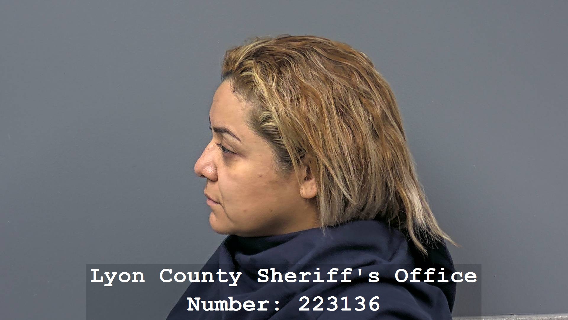 ANA FIGUEROA Profile Mugshot