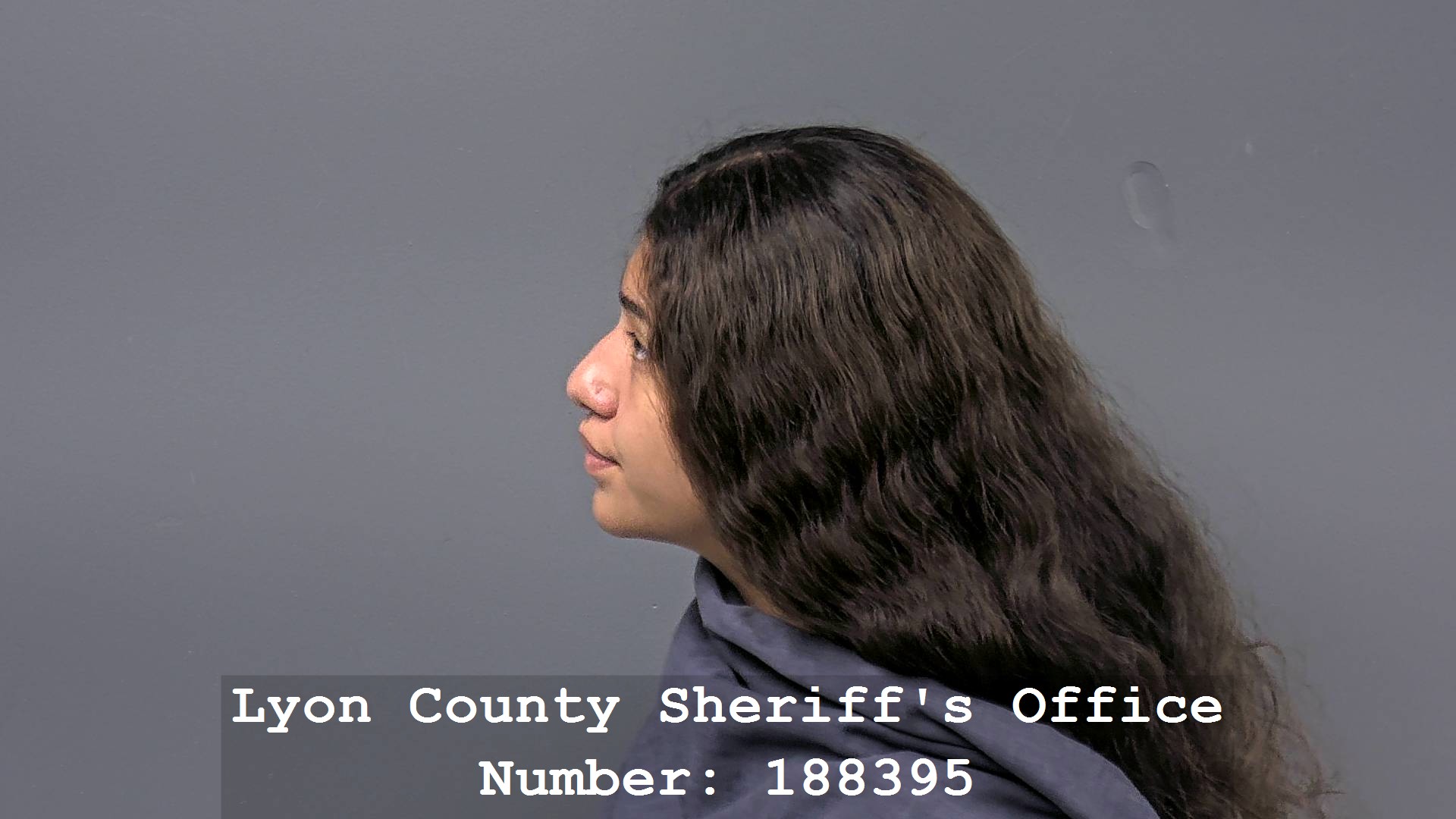 GISELLE SANDOVAL Profile Mugshot
