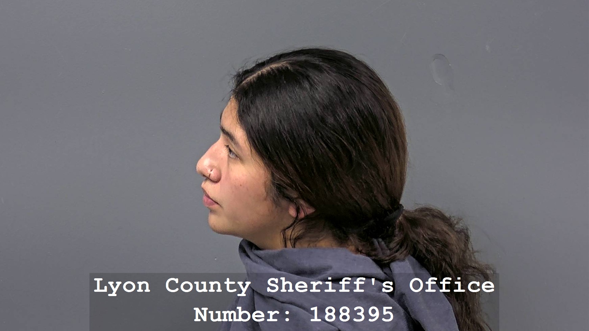 GISELLE SANDOVAL Profile Mugshot